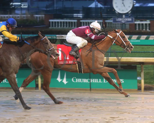 Finite - Golden Rod G2 76Th Running 11-30-19 R09 Cd Finish 01 Churchill Downs