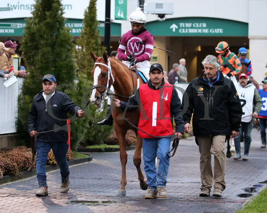 Finite - Golden Rod G2 76Th Running 11-30-19 R09 Cd Paddock 01 Churchill Downs