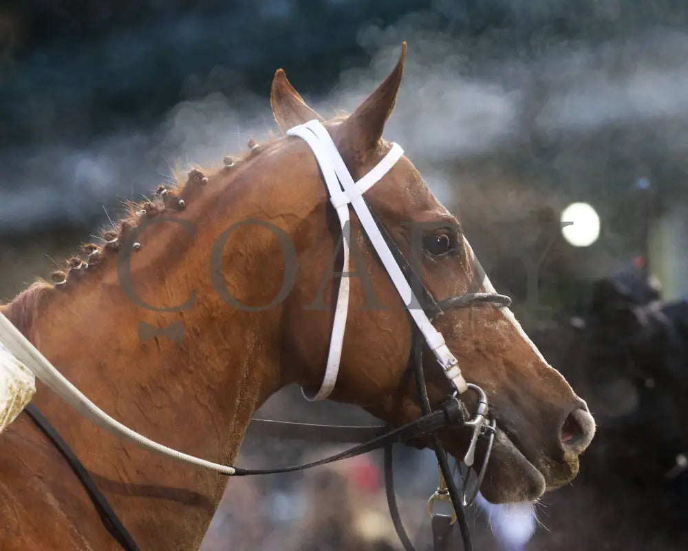 Finite - Golden Rod G2 76Th Running 11-30-19 R09 Cd Scenic 01 Churchill Downs