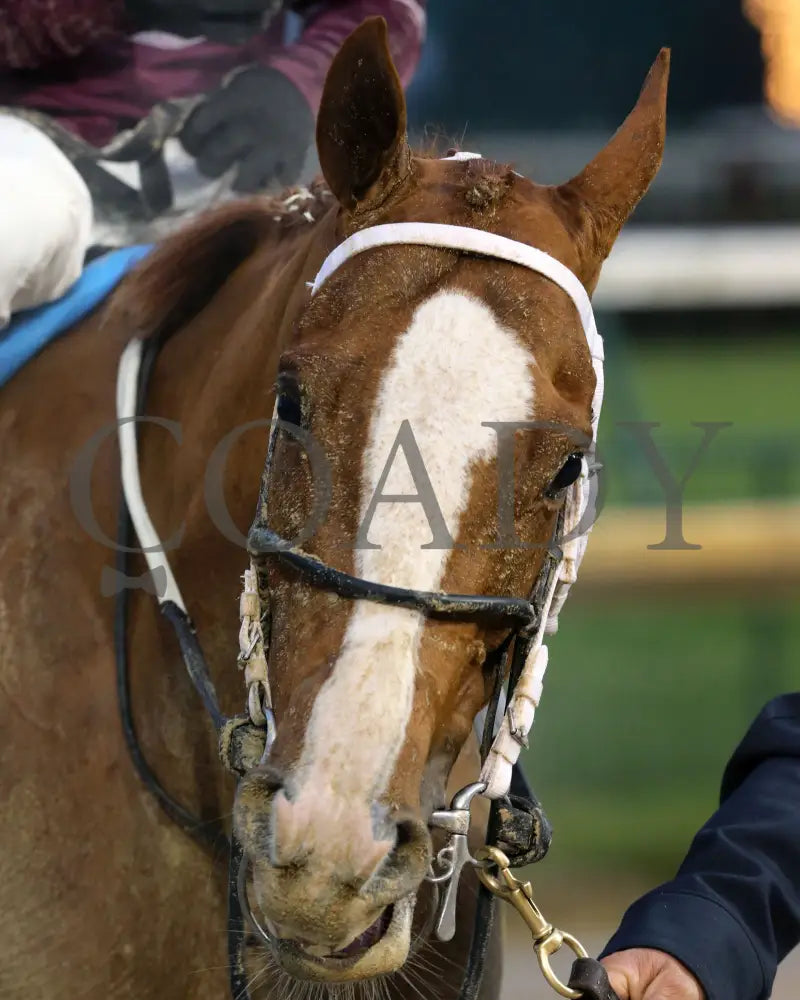 Finite - Golden Rod G2 76Th Running 11-30-19 R09 Cd Scenic 02 Churchill Downs