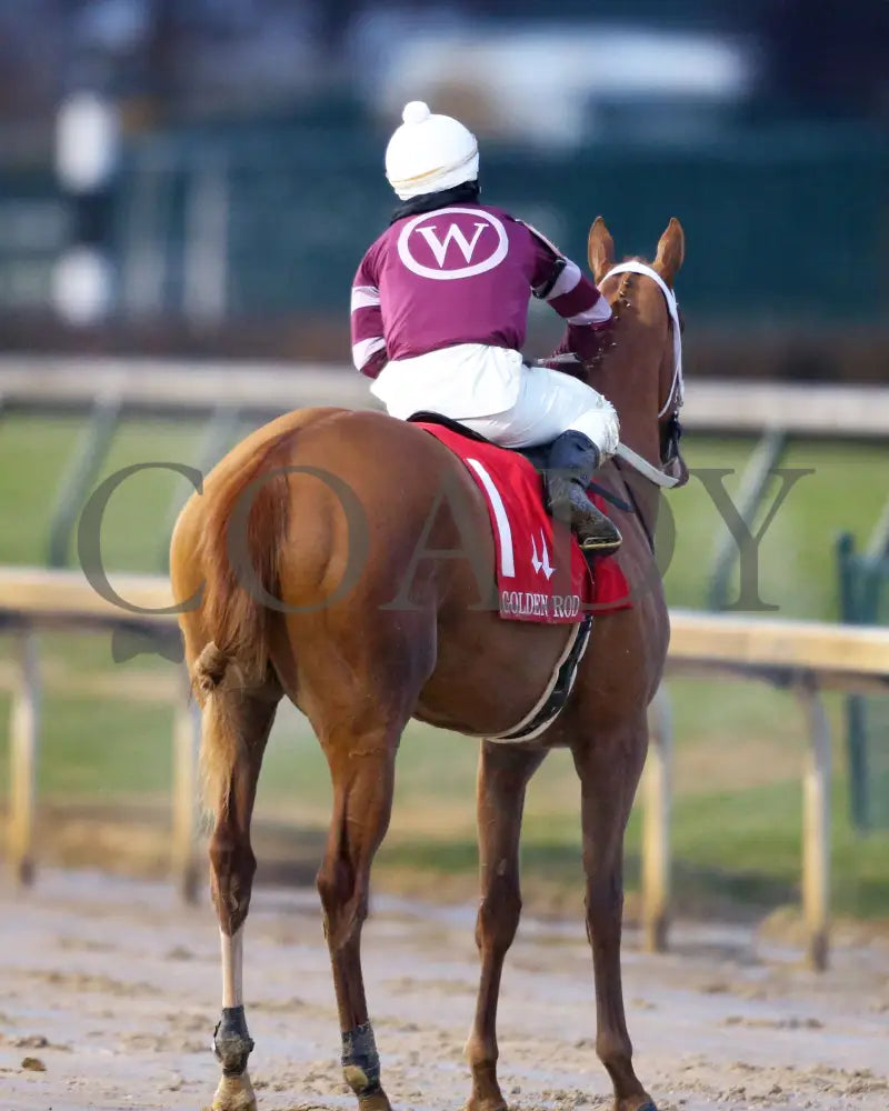 Finite - Golden Rod G2 76Th Running 11-30-19 R09 Cd Scenic 03 Churchill Downs