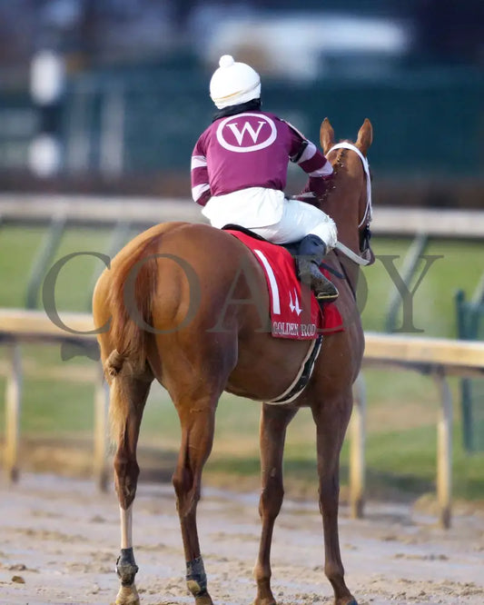 Finite - Golden Rod G2 76Th Running 11-30-19 R09 Cd Scenic 03 Churchill Downs