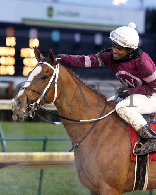 Finite - Golden Rod G2 76Th Running 11-30-19 R09 Cd Scenic 04 Churchill Downs