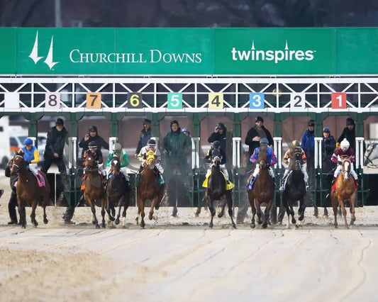 Finite - Golden Rod G2 76Th Running 11-30-19 R09 Cd Start 01 Churchill Downs
