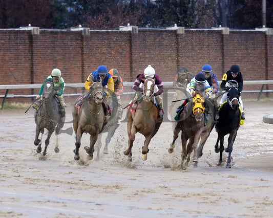 Finite - Golden Rod G2 76Th Running 11-30-19 R09 Cd Turn 01 Churchill Downs