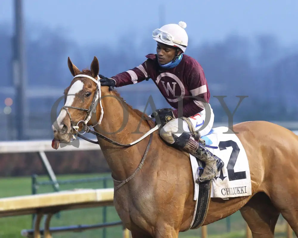 Finite - The Chilukki G3 35Th Running 11-21-20 R09 Cd Come Back 01 Churchill Downs