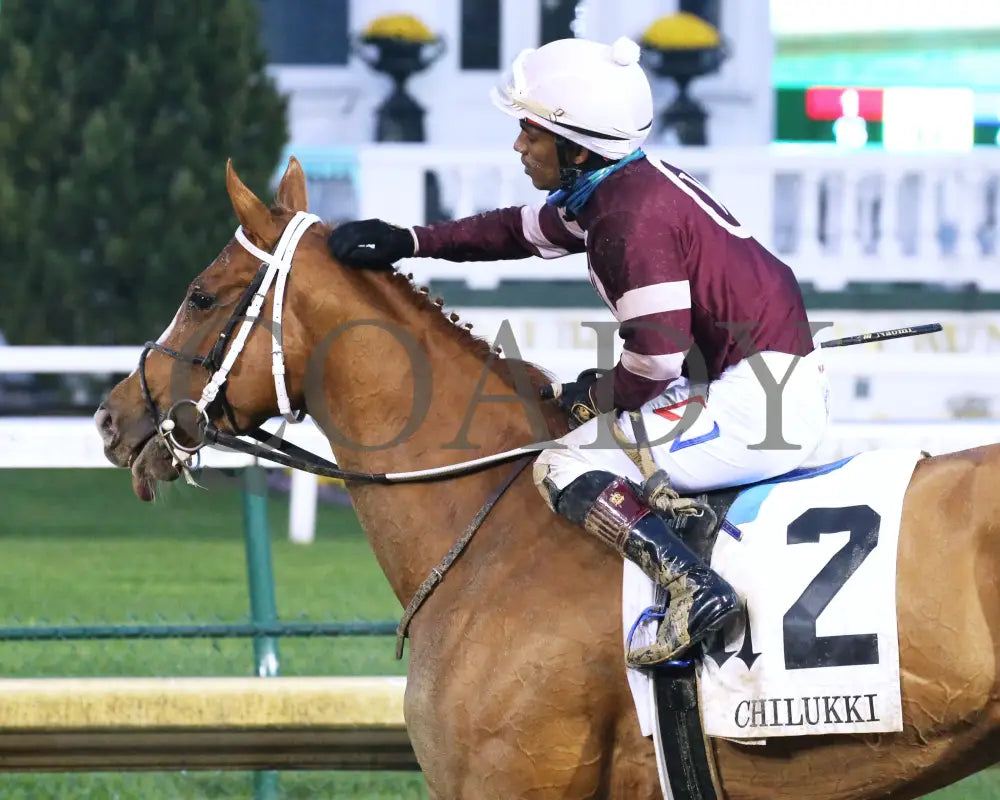 Finite - The Chilukki G3 35Th Running 11-21-20 R09 Cd Come Back 02 Churchill Downs