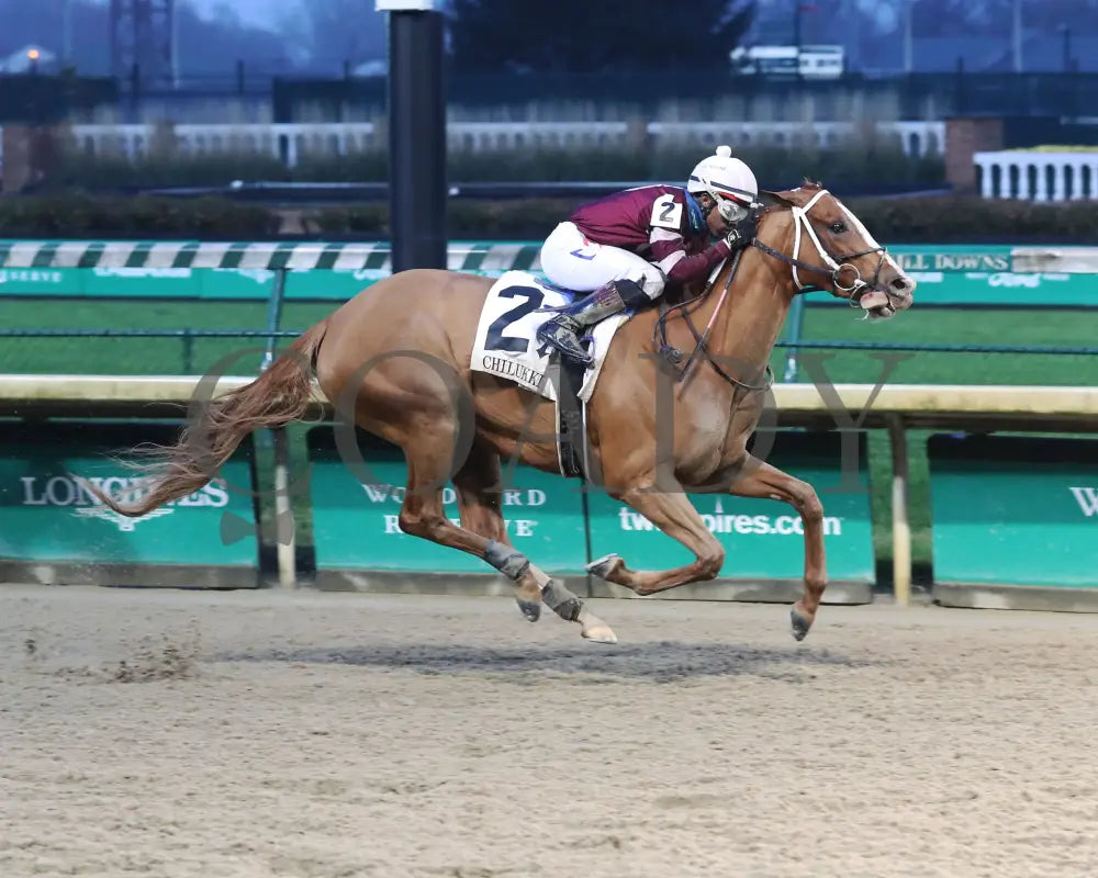 Finite - The Chilukki G3 35Th Running 11-21-20 R09 Cd Finish 01 Churchill Downs