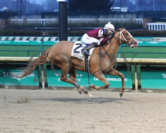 Finite - The Chilukki G3 35Th Running 11-21-20 R09 Cd Finish 01 Churchill Downs