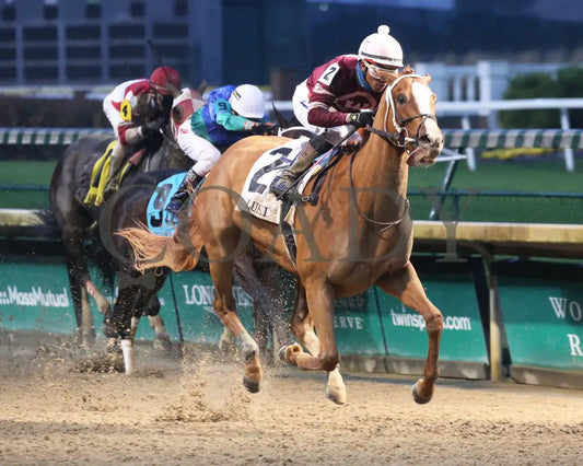 Finite - The Chilukki G3 35Th Running 11-21-20 R09 Cd Finish 02 Churchill Downs