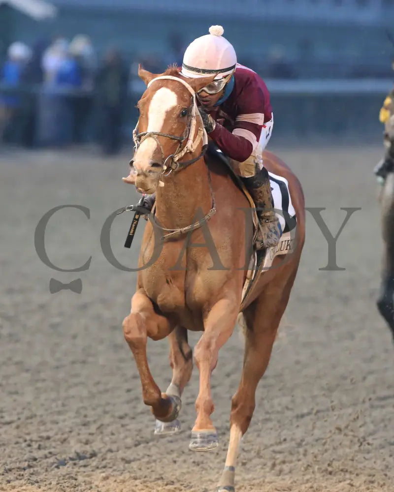 Finite - The Chilukki G3 35Th Running 11-21-20 R09 Cd Inside Finish 01 Churchill Downs