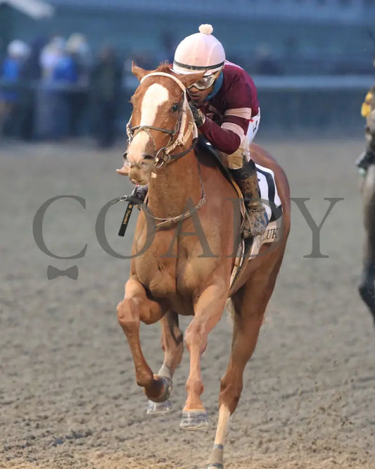 Finite - The Chilukki G3 35Th Running 11-21-20 R09 Cd Inside Finish 01 Churchill Downs