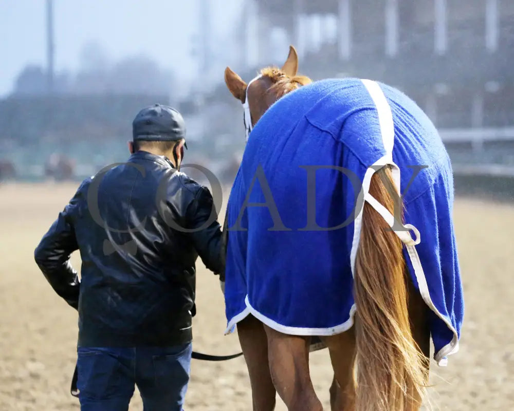 Finite - The Chilukki G3 35Th Running 11-21-20 R09 Cd Walk Back 01 Churchill Downs