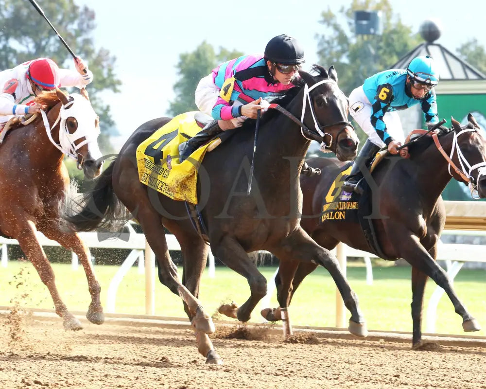 Finley’sluckycharm - Thoroughbred Club Of America Gr Ii 37Th Running 10-07-17 R06 Kee Finish 2