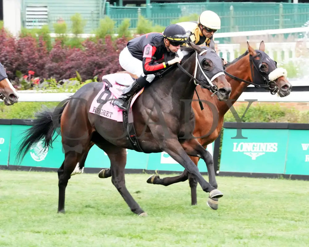 FIONN - The Regret G3 - 56th Running - 05-31-25 - R11 - CD - Finish 02 Churchill Downs