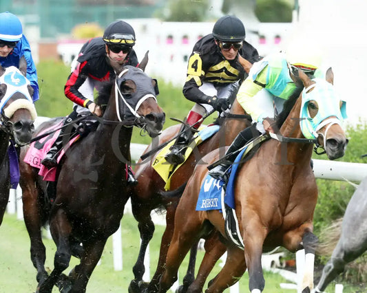 FIONN - The Regret G3 - 56th Running - 05-31-25 - R11 - CD - First Turn 01 Churchill Downs