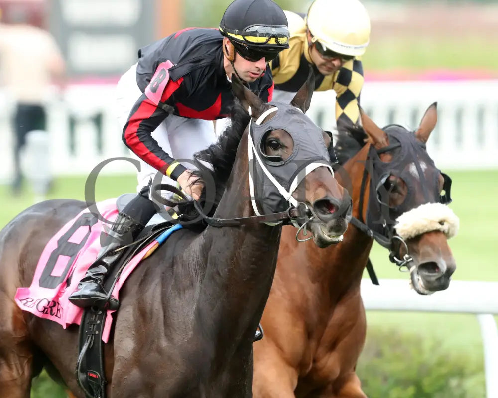 FIONN - The Regret G3 - 56th Running - 05-31-25 - R11 - CD - Gallop Out 01 Churchill Downs