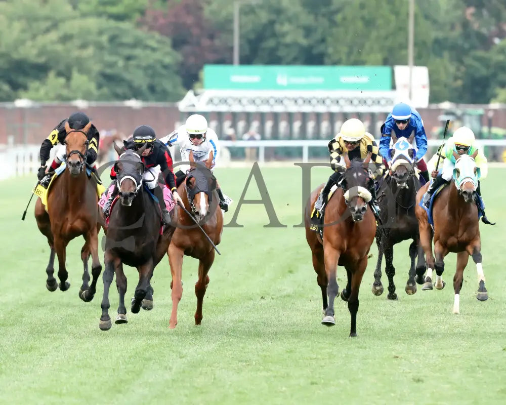 FIONN - The Regret G3 - 56th Running - 05-31-25 - R11 - CD - Head On 01 Churchill Downs