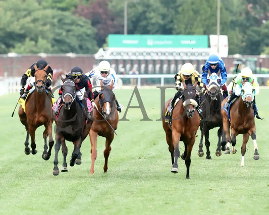 FIONN - The Regret G3 - 56th Running - 05-31-25 - R11 - CD - Head On 01 Churchill Downs