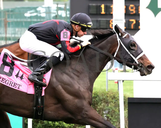 FIONN - The Regret G3 - 56th Running - 05-31-25 - R11 - CD - Tight Finish 01 Churchill Downs