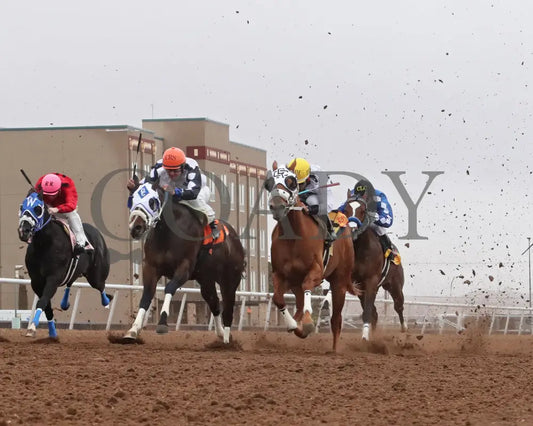 FIRE POWWER - New Mexican Spring Fling Stakes-19th Running - 04-05-25 - R07 - Sunland Park - Under Rail Sunland Park