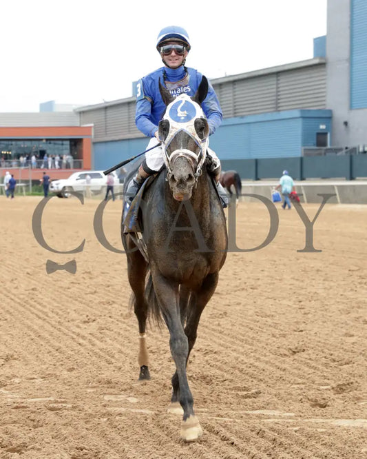 FIRST MISSION - 041925 - Race 11 - OP The Oaklawn Handicap - G2 - Comeback 02 Oaklawn Park