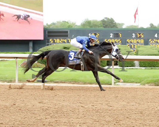 FIRST MISSION - 041925 - Race 11 - OP The Oaklawn Handicap - G2 - Finish 01 Oaklawn Park