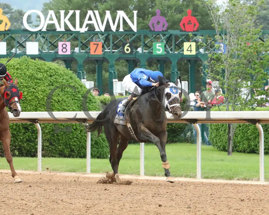 FIRST MISSION - 041925 - Race 11 - OP The Oaklawn Handicap - G2 - Finish 05 Oaklawn Park