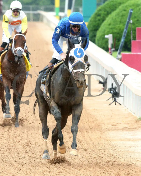 FIRST MISSION - 041925 - Race 11 - OP The Oaklawn Handicap - G2 - Gallop Out 01 Oaklawn Park