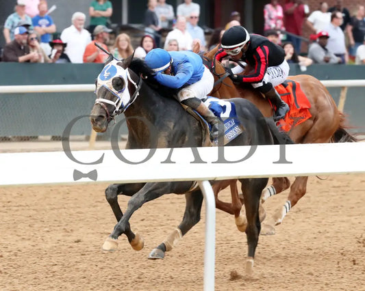 FIRST MISSION - 041925 - Race 11 - OP The Oaklawn Handicap - G2 - Inside Finish 02 Oaklawn Park