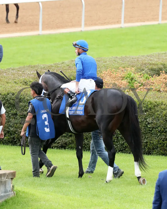 FIRST MISSION - 041925 - Race 11 - OP The Oaklawn Handicap - G2 - Paddock 03 Oaklawn Park