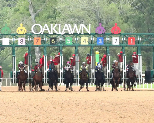 FIRST MISSION - 041925 - Race 11 - OP The Oaklawn Handicap - G2 - Start 02 Oaklawn Park