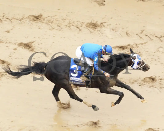 First Mission - The Alysheba G2 05-03-24 R07 Cd Aerial Finish 01 Churchill Downs