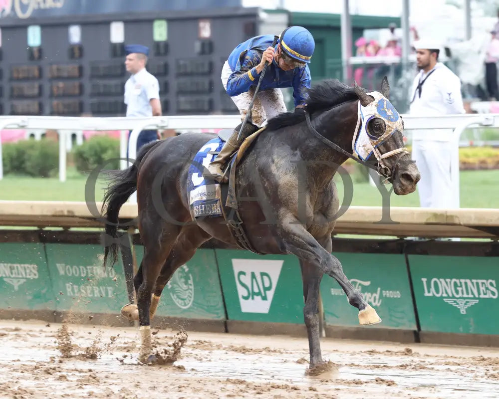 First Mission - The Alysheba G2 05-03-24 R07 Churchill Downs Finish 02 Renee Torbit