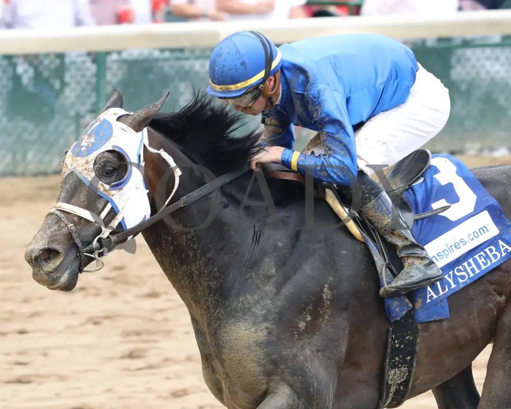 First Mission - The Alysheba G2 05-03-24 R07 Churchill Downs Inside Finish 01 Jetta Vaughns