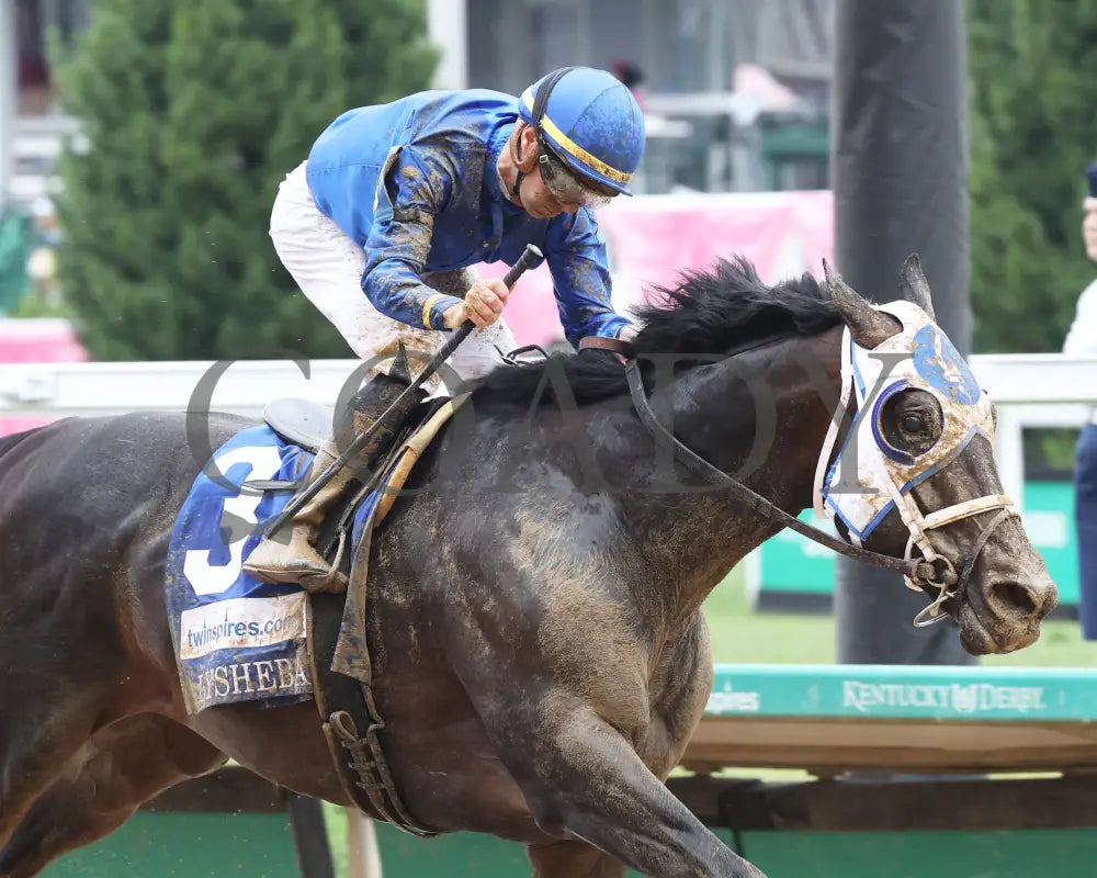 First Mission - The Alysheba G2 05-03-24 R07 Churchill Downs Tight Finish 01 Renee Torbit