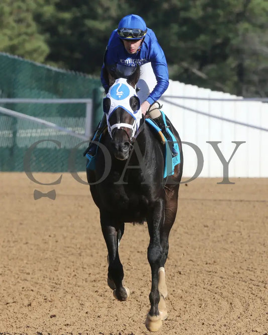 First Mission - The Essex Handicap G3 76 Running 03 - 23 - 24 R09 Op Come Back 01 Oaklawn Park