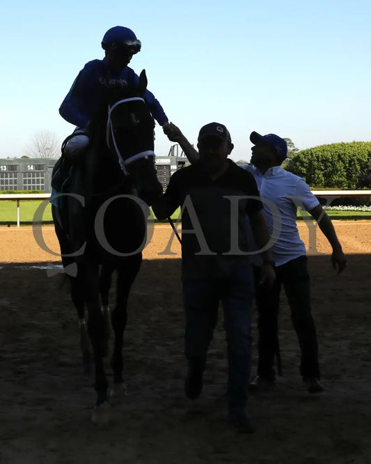 First Mission - The Essex Handicap G3 76 Running 03 - 23 - 24 R09 Op Come Back 04 Oaklawn Park