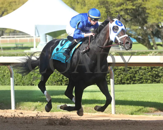First Mission - The Essex Handicap G3 76 Running 03 - 23 - 24 R09 Op Finish 02 Oaklawn Park