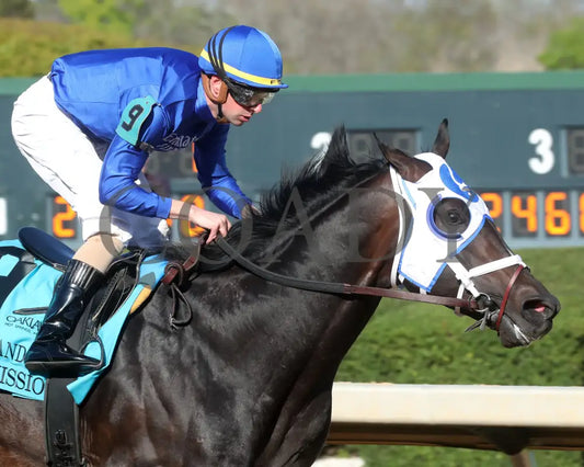 First Mission - The Essex Handicap G3 76 Running 03 - 23 - 24 R09 Op Gallop Out 01 Oaklawn Park