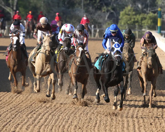 First Mission - The Essex Handicap G3 76 Running 03 - 23 - 24 R09 Op Gallop Out 02 Oaklawn Park