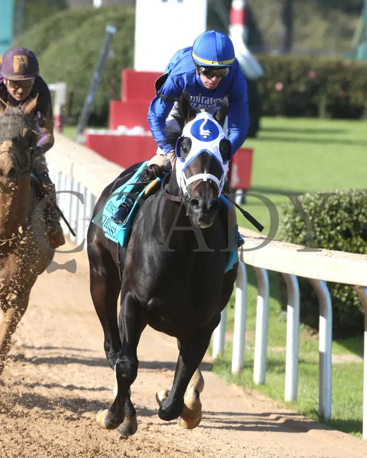 First Mission - The Essex Handicap G3 76 Running 03 - 23 - 24 R09 Op Gallop Out 03 Oaklawn Park