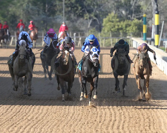 First Mission - The Essex Handicap G3 76 Running 03 - 23 - 24 R09 Op Head On 01 Oaklawn Park