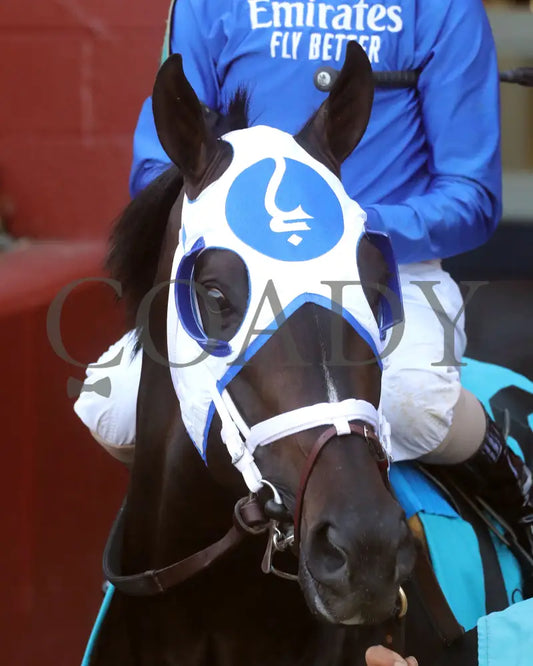 First Mission - The Essex Handicap G3 76 Running 03 - 23 - 24 R09 Op Paddock 01 Oaklawn Park