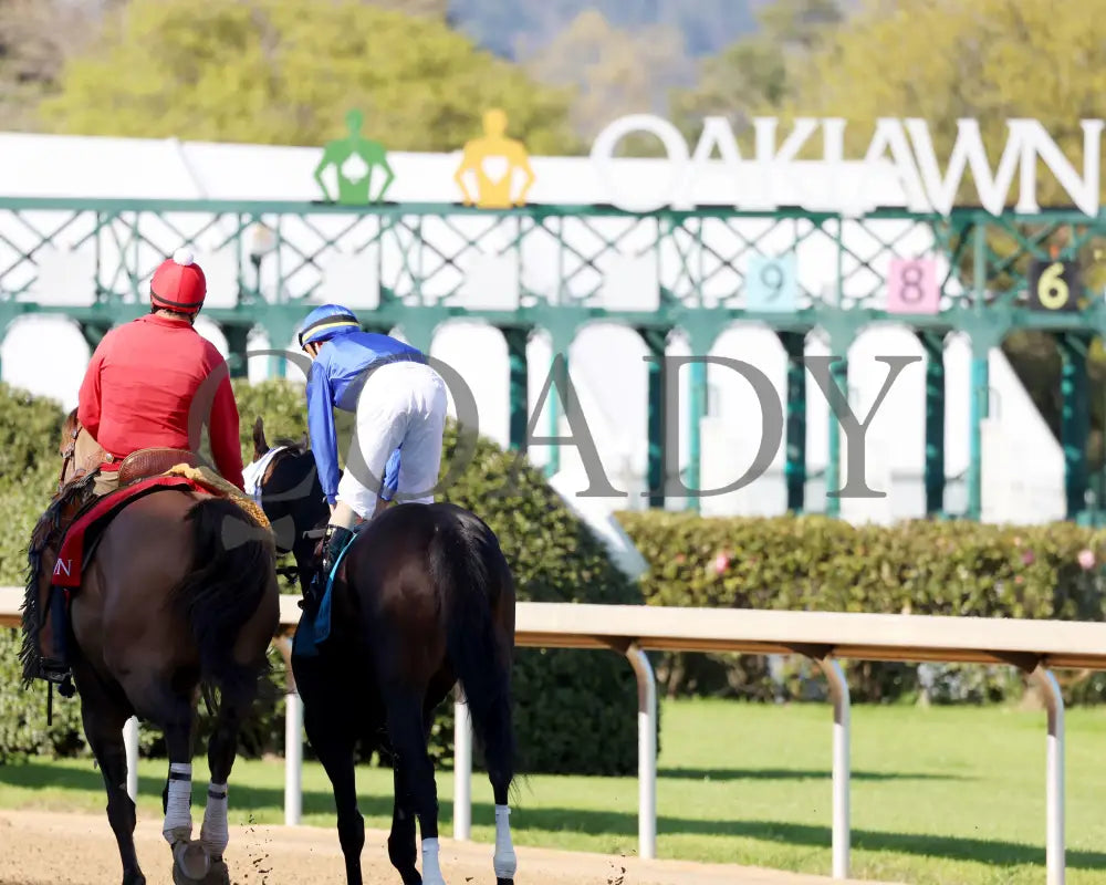 First Mission - The Essex Handicap G3 76 Running 03 - 23 - 24 R09 Op Post Parade 02 Oaklawn Park