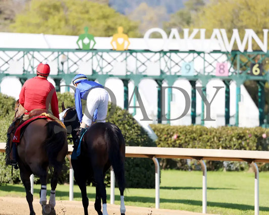 First Mission - The Essex Handicap G3 76 Running 03 - 23 - 24 R09 Op Post Parade 02 Oaklawn Park