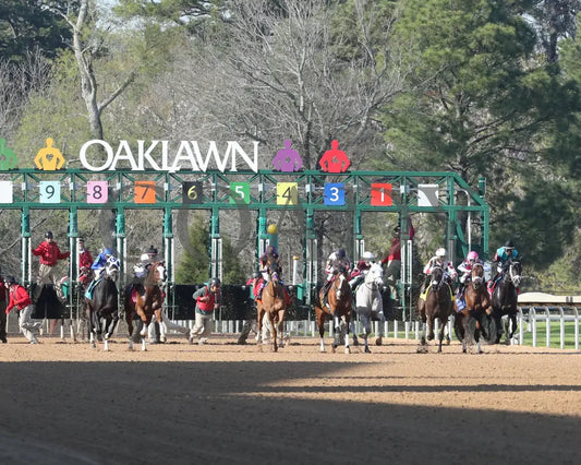 First Mission - The Essex Handicap G3 76 Running 03 - 23 - 24 R09 Op Start 03 Oaklawn Park