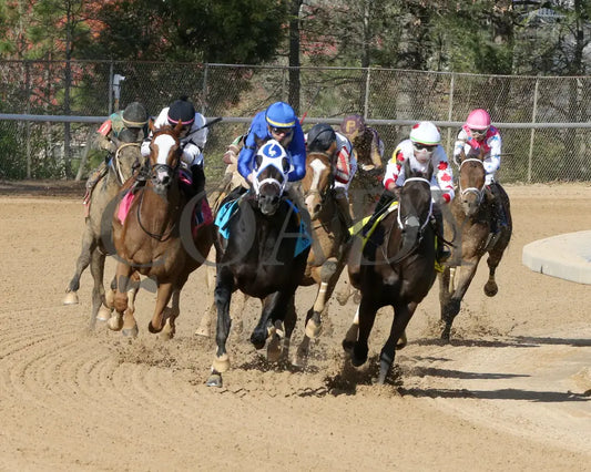 First Mission - The Essex Handicap G3 76 Running 03 - 23 - 24 R09 Op Turn 01 Oaklawn Park