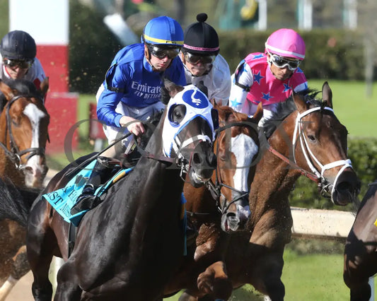 First Mission - The Essex Handicap G3 76 Running 03 - 23 - 24 R09 Op First Turn 01 Oaklawn Park