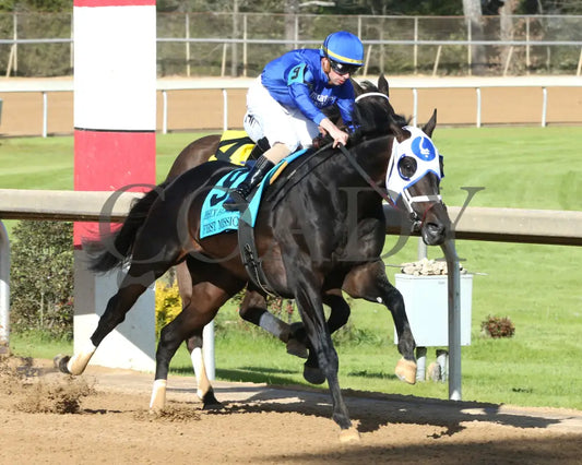 First Mission - The Essex Handicap G3 76 Running 03 - 23 - 24 R09 Op Turn 02 Oaklawn Park